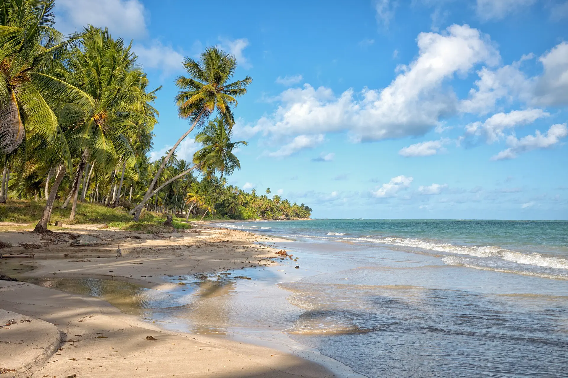 Praia da Barra do Camaragibe, com coqueiros e mar