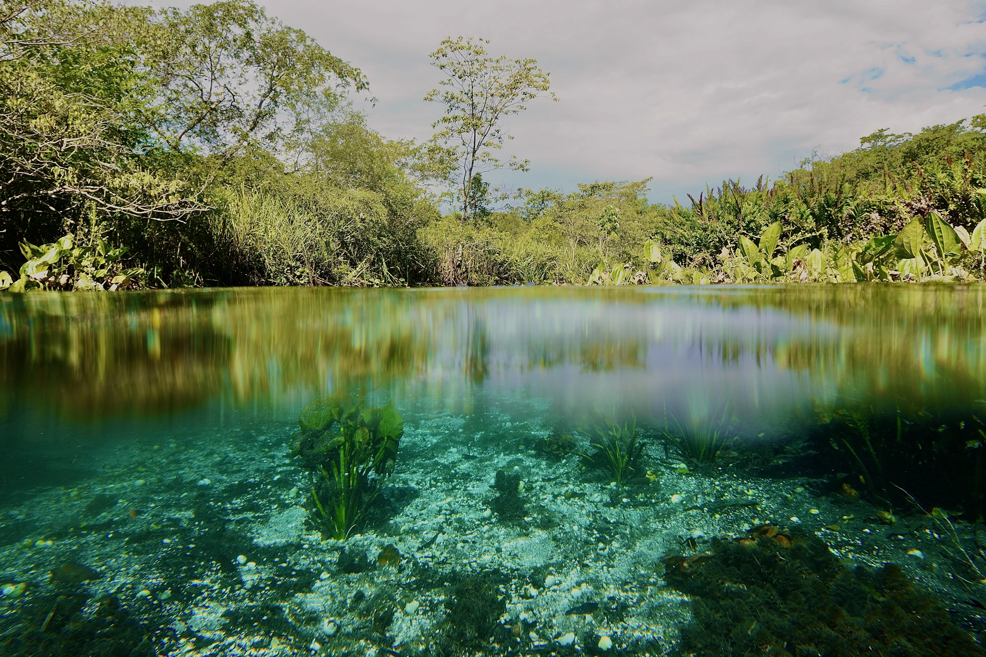 Rio de água limpa no Pantanal, Mato Grosso do Sul