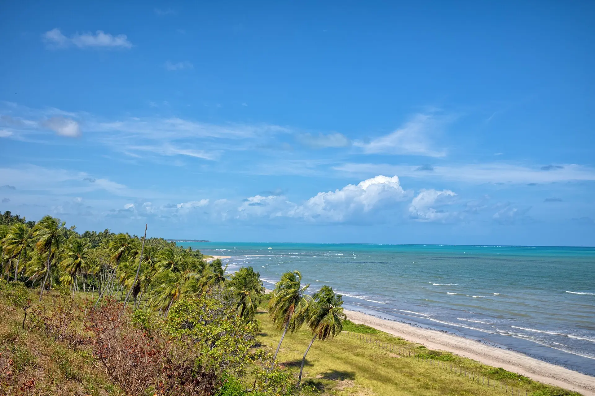 Praia e mar de águas claras no litoral norte de Alagoas