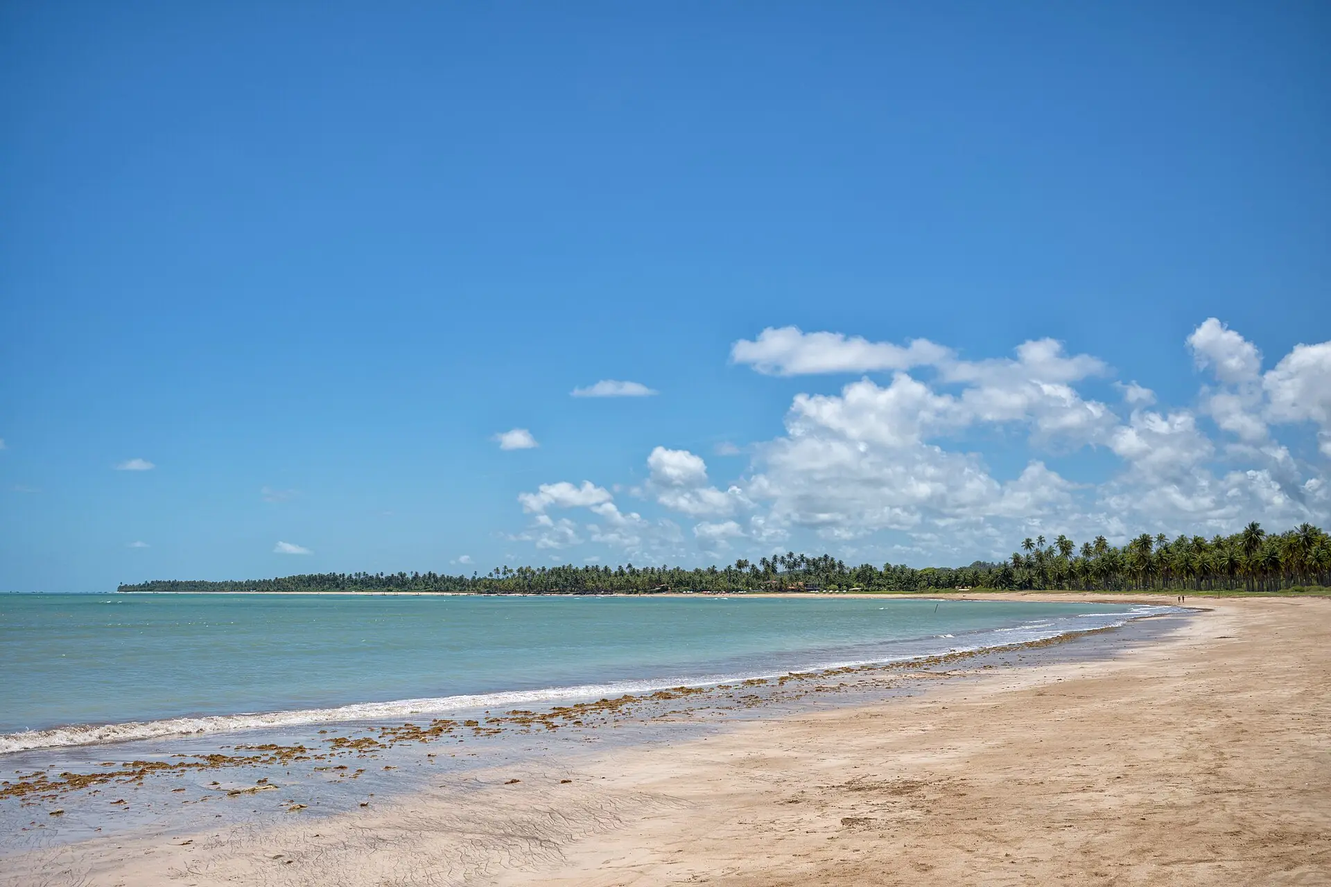 Praia do Patacho, de areia clara e coqueirais